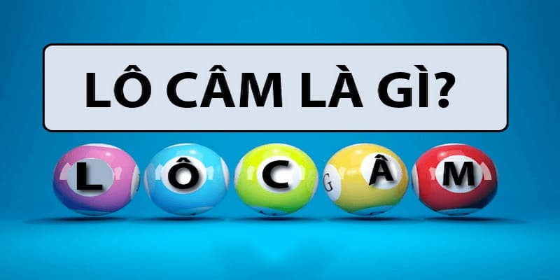 Hiện tượng lô câm trong thế giới số học