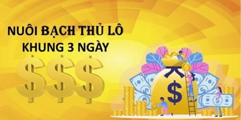 Nuôi lô bạch thủ khung 3