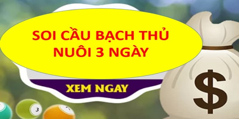 Nuôi lô bạch thủ khung 3 Tổng quan về nuôi lô bạch thủ khung 3