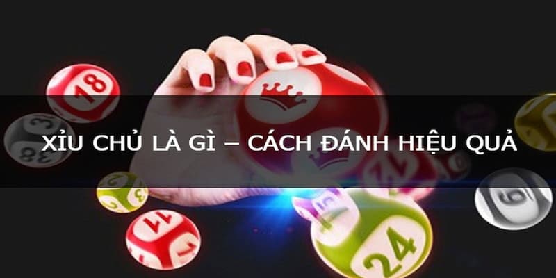 Vì sao cần hiểu rõ xỉu chủ là gì trong Lô Đề Vip?