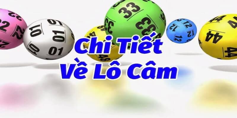 Vì sao lô câm được game thủ Lô Đề Vip chú ý?