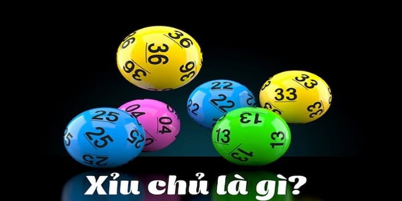 xỉu chủ là gì